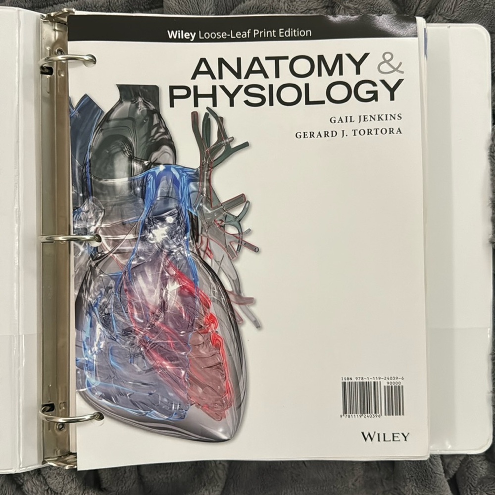 Anatomy and Physiology Gail Jenkins Gerard J. Tortora